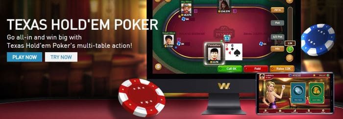 Call, Raise, Fold - Texas Holdem Quick Rules & Set Rules