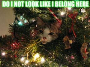 w88-christmas decoration memes-12