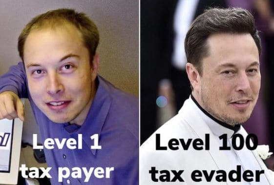 W88-Elon-musk-twitter-memes-16